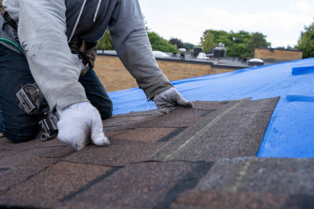 Best Roof Maintenance Services  in Holdenville, OK
