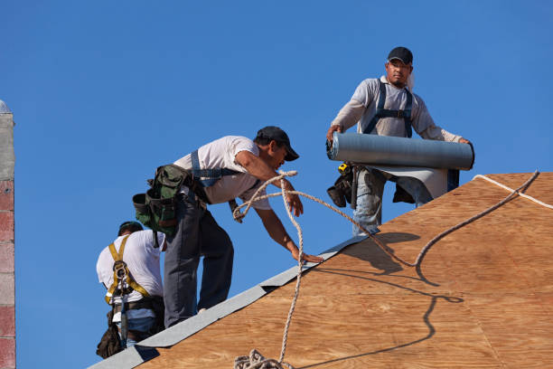 Best Roof Waterproofing Services  in Holdenville, OK