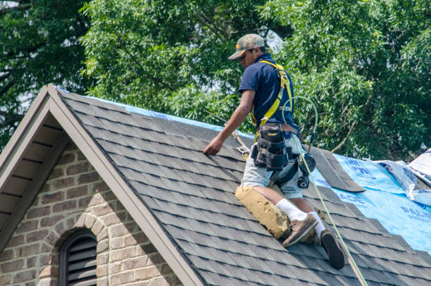 Best Roof Repair Services  in Holdenville, OK